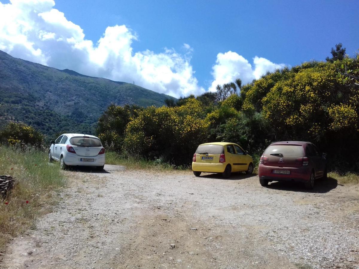 Ikarian Centre - Accommodation & Mountain Hiking Eudilos Buitenkant foto